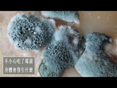 黴菌 種類|黴菌:黴菌介紹,繁殖,黴菌預防,人體預防,食物預防,飼料預防,環境影。